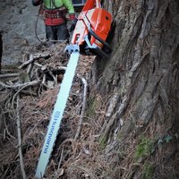 Motorsäge von Husqvarna mit langem Sägeblatt