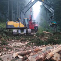 Schlichtarbeiten mit Kran im Wald