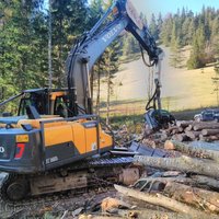 Aufräumarbeiten mit Kran im Wald